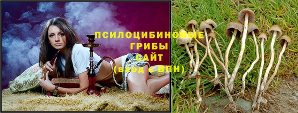 гашик Абаза