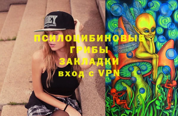 ешки Абинск