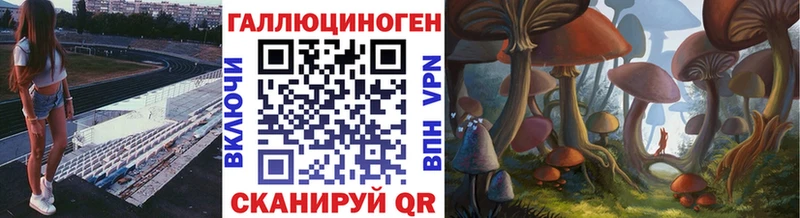 даркнет сайт  Мостовской  Галлюциногенные грибы Psilocybine cubensis 